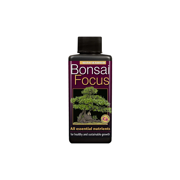 Bonsai Focus 100 ml