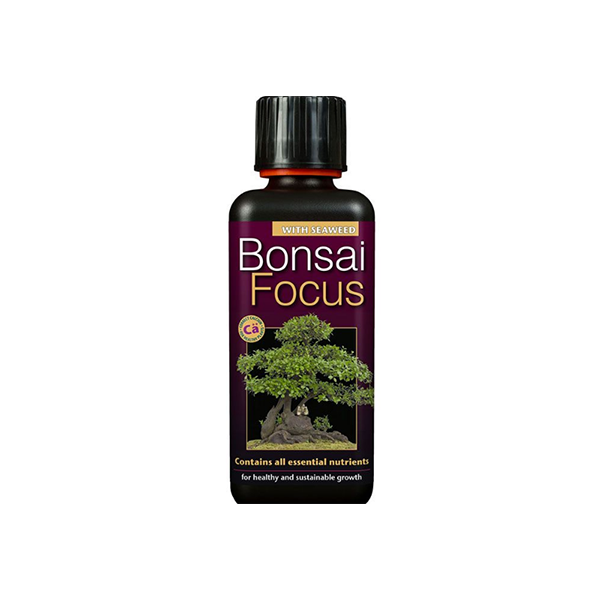 Bonsai Focus - 300 ml