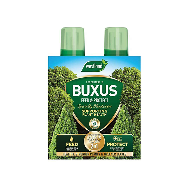 Westland Buxus Feed & Protect Concentrates 2 in 1 (2 x 500 ml]