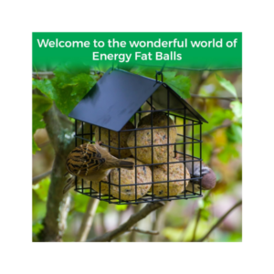 Bucktons Wild Bird Energy Balls 150 Box