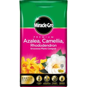 Miracle-Gro Azalea, Camellia, Rhododendron Compost 10L