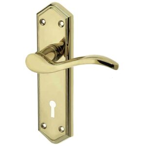 Frelan Hardware Paris Door Handles On Backplate)